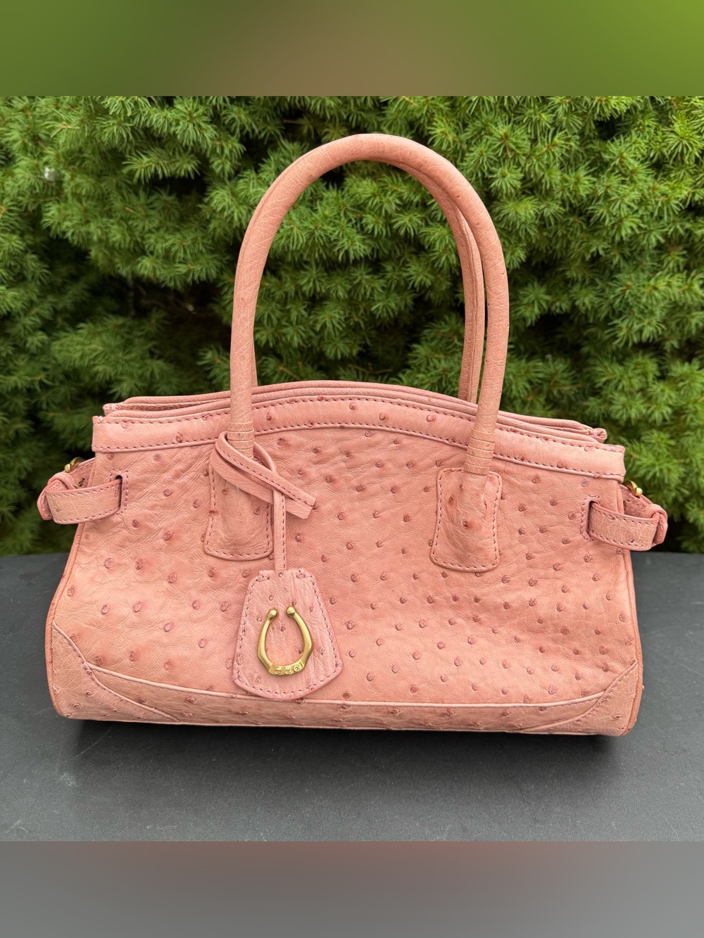 Cece Cord Genuine Ostrich Pink Satchel made in South Africa NWOT